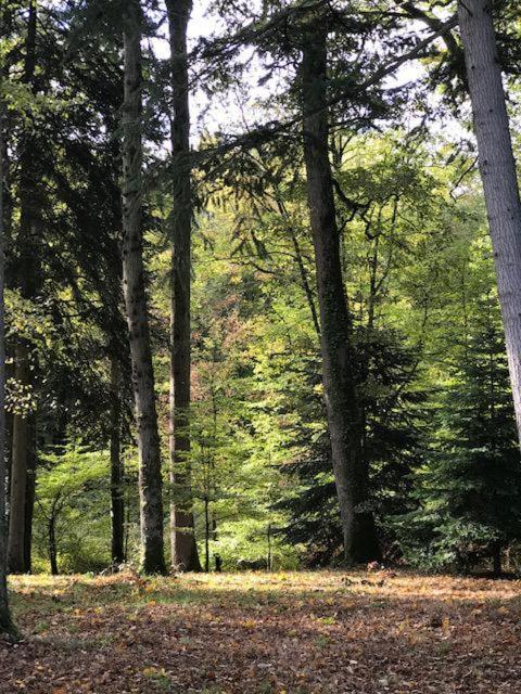 Вілла Domaine De La Vaudouriere Lunay Екстер'єр фото